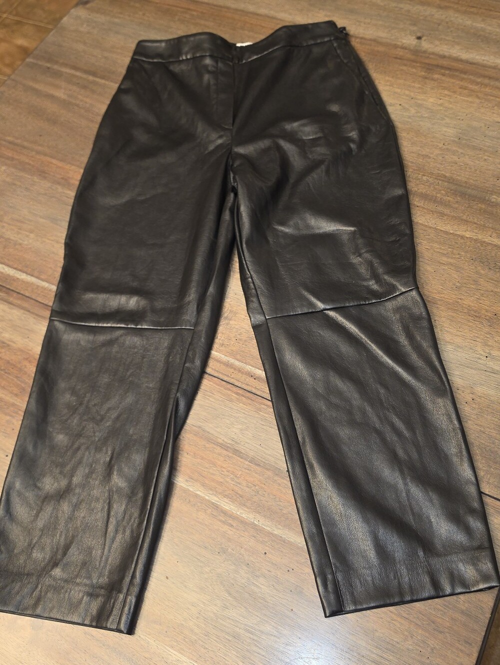 Babaton Faux Leather Pants